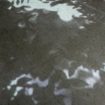 http://uat.lightizm.com/files/gimgs/th-76_71_Nostalgia1_v2.jpg
