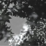 http://uat.lightizm.com/files/gimgs/th-76_71_Nostalgia2_v2.jpg